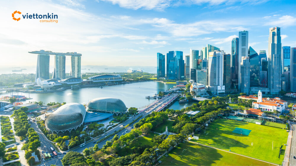 types of company in singapore