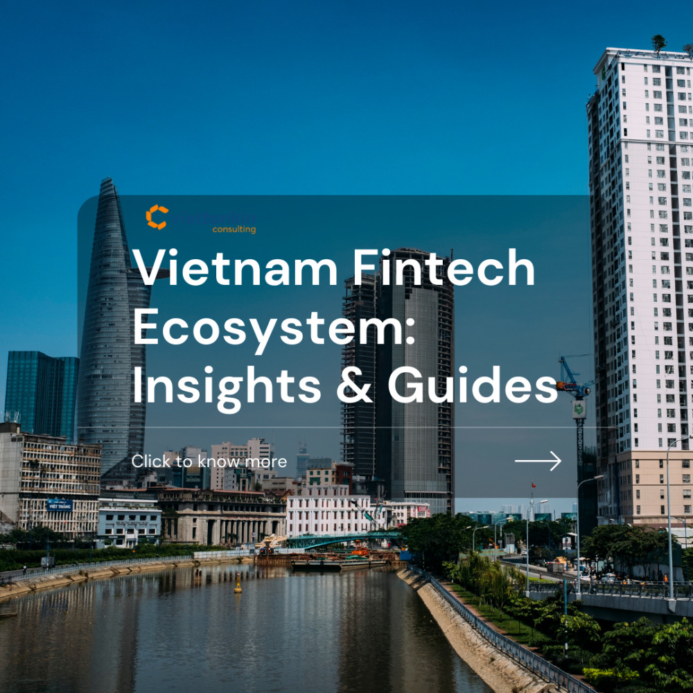 Vietnam Fintech Ecosystem Insights Guides