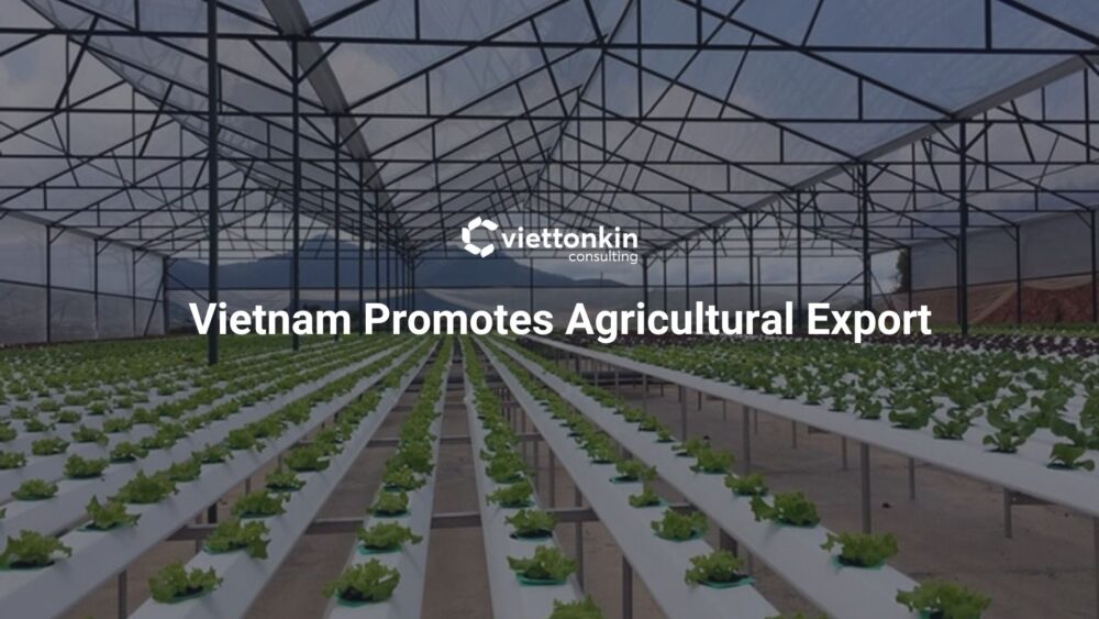 Black and Violet Dark Professional Real Estate Weekly Team Updates Presentation