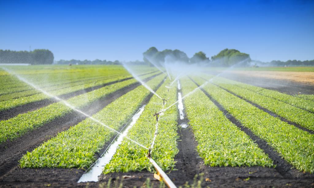 agriculture waste water adobestock