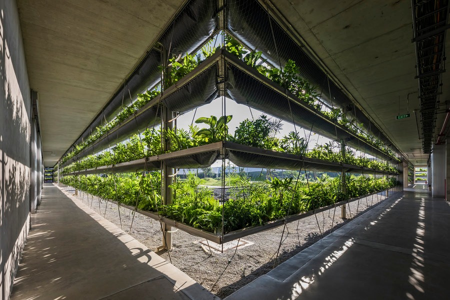 g a architecture urban planning