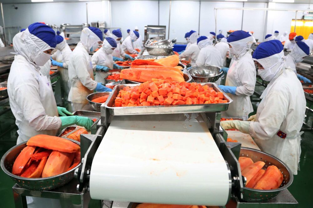 Food processing investment