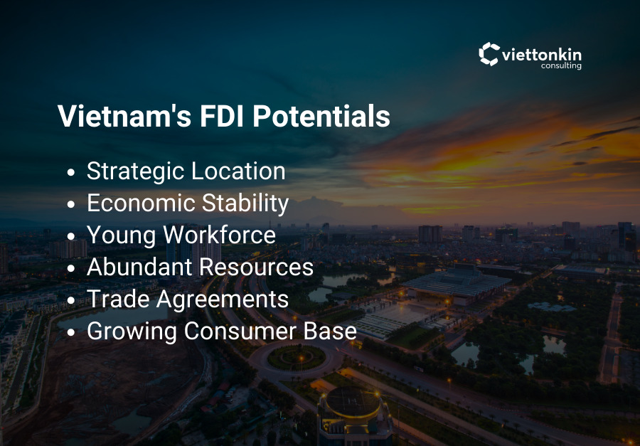 Vietnam s FDI Potentials