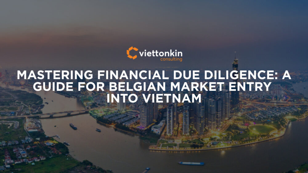 Mastering Financial Due Diligence A Guide for Belgian Market Entry into Vietnam