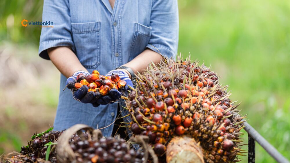 indonesia palm oil