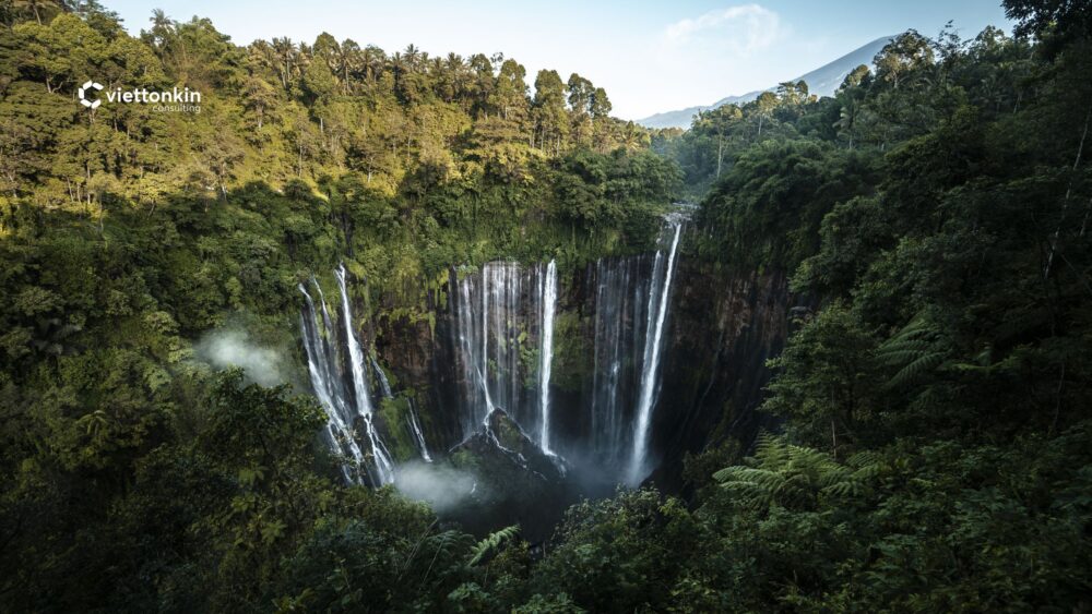 interesting facts about indonesia