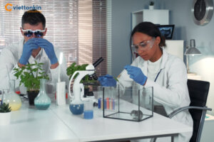 The Rise of Thai Biotech Investment in Vietnam and the New Cross Border Opportunity