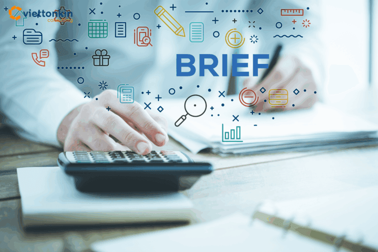 vietnam-india investment brief